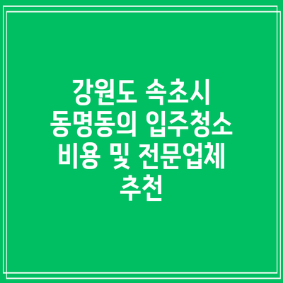 강원도 속초시 동명동의 입주청소 비용 및 전문업체 추천