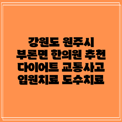 강원도 원주시 부론면 한의원 추천 다이어트 교통사고 입원치료 도수치료
