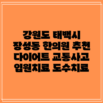 강원도 태백시 장성동 한의원 추천 다이어트 교통사고 입원치료 도수치료