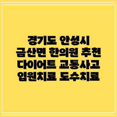 경기도 안성시 금산면 한의원 추천 다이어트 교통사고 입원치료 도수치료