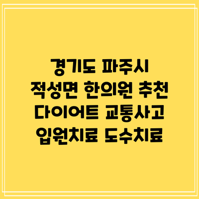 경기도 파주시 적성면 한의원 추천 다이어트 교통사고 입원치료 도수치료