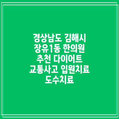 경상남도 김해시 장유1동 한의원 추천 다이어트 교통사고 입원치료 도수치료