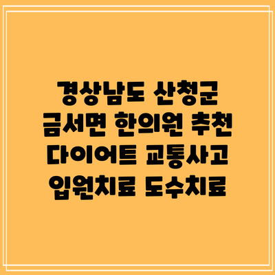 경상남도 산청군 금서면 한의원 추천 다이어트 교통사고 입원치료 도수치료