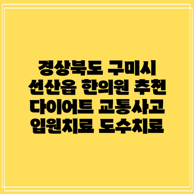 경상북도 구미시 선산읍 한의원 추천 다이어트 교통사고 입원치료 도수치료