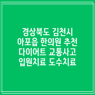 경상북도 김천시 아포읍 한의원 추천 다이어트 교통사고 입원치료 도수치료