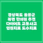 경상북도 울릉군 북면 한의원 추천 다이어트 교통사고 입원치료 도수치료