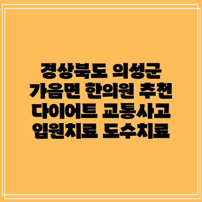 경상북도 의성군 가음면 한의원 추천 다이어트 교통사고 입원치료 도수치료