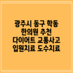 광주시 동구 학동 한의원 추천 다이어트 교통사고 입원치료 도수치료