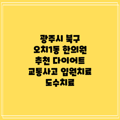 광주시 북구 오치1동 한의원 추천 다이어트 교통사고 입원치료 도수치료