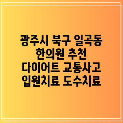 광주시 북구 일곡동 한의원 추천 다이어트 교통사고 입원치료 도수치료
