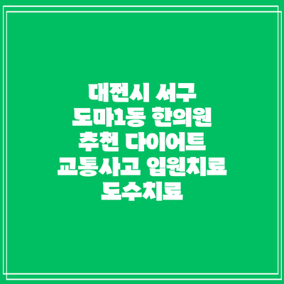 대전시 서구 도마1동 한의원 추천 다이어트 교통사고 입원치료 도수치료