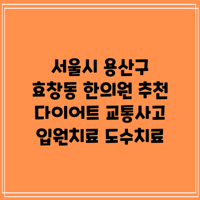 서울시 용산구 효창동 한의원 추천 다이어트 교통사고 입원치료 도수치료