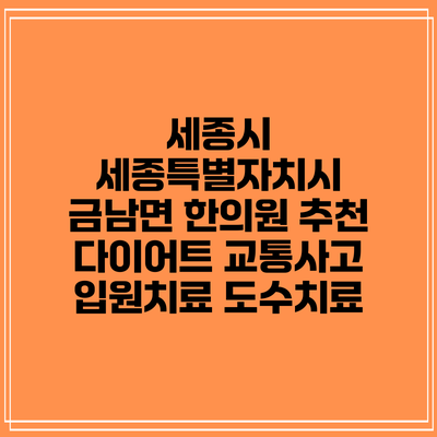 세종시 세종특별자치시 금남면 한의원 추천 다이어트 교통사고 입원치료 도수치료