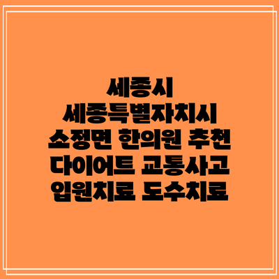 세종시 세종특별자치시 소정면 한의원 추천 다이어트 교통사고 입원치료 도수치료