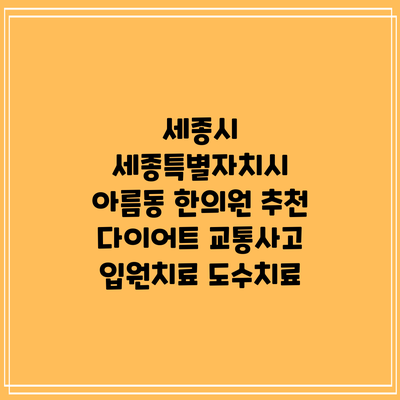 세종시 세종특별자치시 아름동 한의원 추천 다이어트 교통사고 입원치료 도수치료