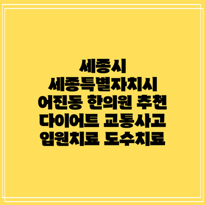 세종시 세종특별자치시 어진동 한의원 추천 다이어트 교통사고 입원치료 도수치료
