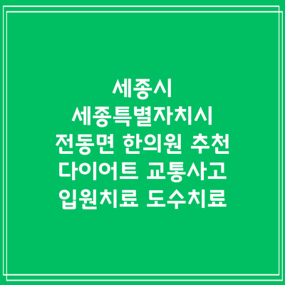 세종시 세종특별자치시 전동면 한의원 추천 다이어트 교통사고 입원치료 도수치료