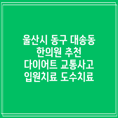 울산시 동구 대송동 한의원 추천 다이어트 교통사고 입원치료 도수치료