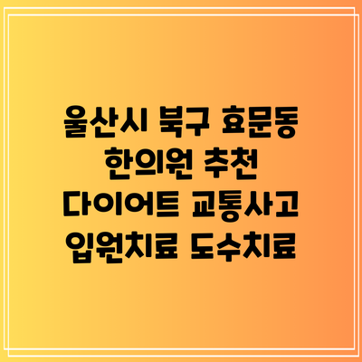 울산시 북구 효문동 한의원 추천 다이어트 교통사고 입원치료 도수치료