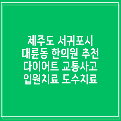 제주도 서귀포시 대륜동 한의원 추천 다이어트 교통사고 입원치료 도수치료