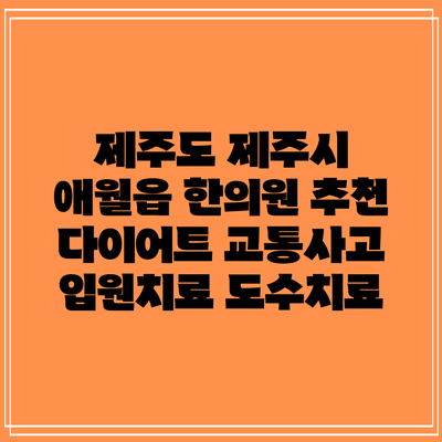 제주도 제주시 애월읍 한의원 추천 다이어트 교통사고 입원치료 도수치료