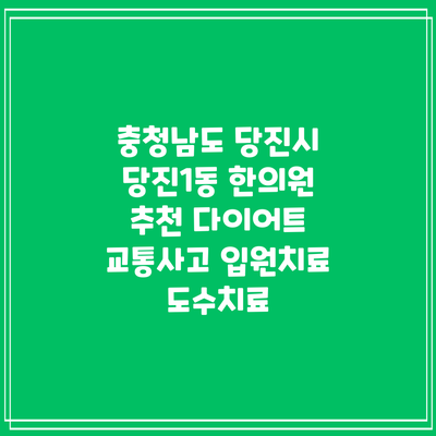 충청남도 당진시 당진1동 한의원 추천 다이어트 교통사고 입원치료 도수치료