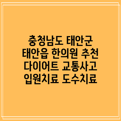 충청남도 태안군 태안읍 한의원 추천 다이어트 교통사고 입원치료 도수치료