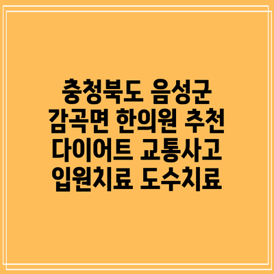 충청북도 음성군 감곡면 한의원 추천 다이어트 교통사고 입원치료 도수치료