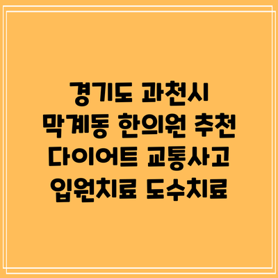 경기도 과천시 막계동 한의원 추천 다이어트 교통사고 입원치료 도수치료