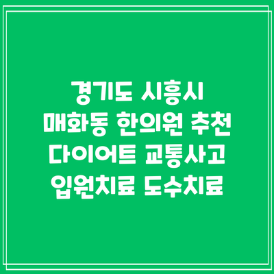 경기도 시흥시 매화동 한의원 추천 다이어트 교통사고 입원치료 도수치료