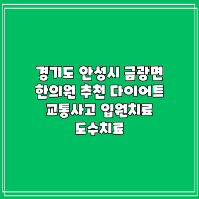 경기도 안성시 금광면 한의원 추천 다이어트 교통사고 입원치료 도수치료