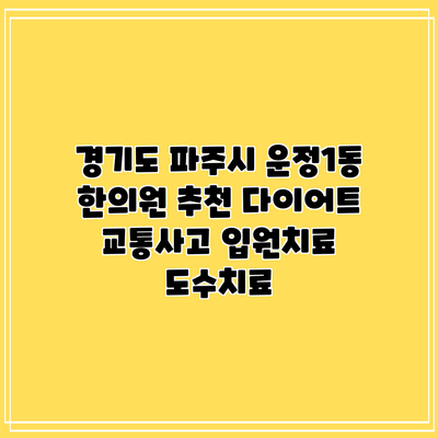 경기도 파주시 운정1동 한의원 추천 다이어트 교통사고 입원치료 도수치료