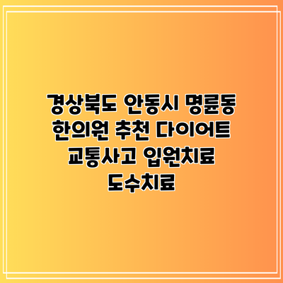 경상북도 안동시 명륜동 한의원 추천 다이어트 교통사고 입원치료 도수치료