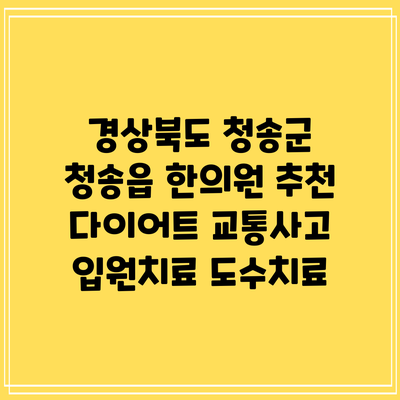 경상북도 청송군 청송읍 한의원 추천 다이어트 교통사고 입원치료 도수치료