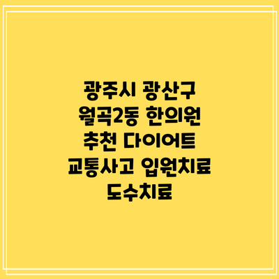 광주시 광산구 월곡2동 한의원 추천 다이어트 교통사고 입원치료 도수치료