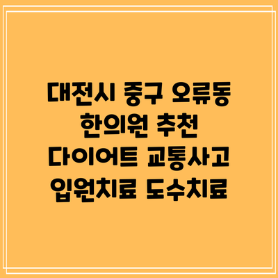 대전시 중구 오류동 한의원 추천 다이어트 교통사고 입원치료 도수치료