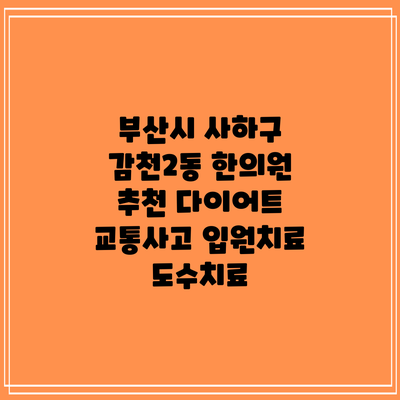 부산시 사하구 감천2동 한의원 추천 다이어트 교통사고 입원치료 도수치료