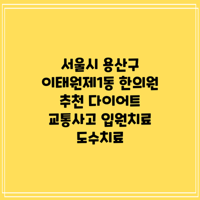 서울시 용산구 이태원제1동 한의원 추천 다이어트 교통사고 입원치료 도수치료