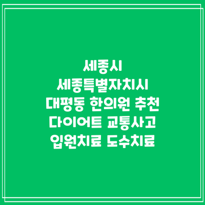 세종시 세종특별자치시 대평동 한의원 추천 다이어트 교통사고 입원치료 도수치료