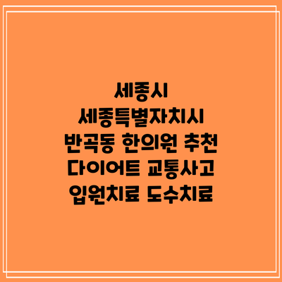 세종시 세종특별자치시 반곡동 한의원 추천 다이어트 교통사고 입원치료 도수치료