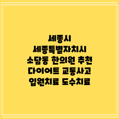 세종시 세종특별자치시 소담동 한의원 추천 다이어트 교통사고 입원치료 도수치료