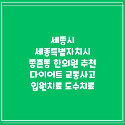 세종시 세종특별자치시 종촌동 한의원 추천 다이어트 교통사고 입원치료 도수치료