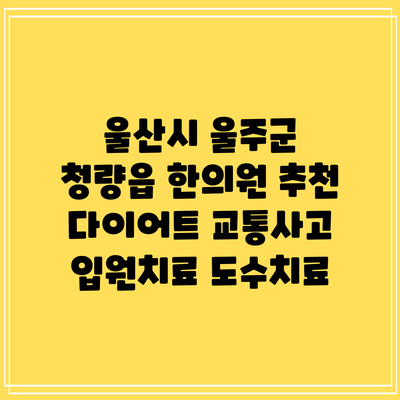 울산시 울주군 청량읍 한의원 추천 다이어트 교통사고 입원치료 도수치료
