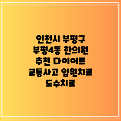 인천시 부평구 부평4동 한의원 추천 다이어트 교통사고 입원치료 도수치료