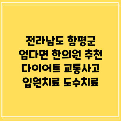 전라남도 함평군 엄다면 한의원 추천 다이어트 교통사고 입원치료 도수치료