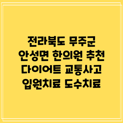 전라북도 무주군 안성면 한의원 추천 다이어트 교통사고 입원치료 도수치료