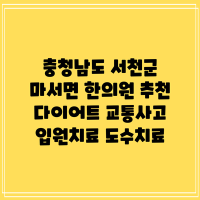 충청남도 서천군 마서면 한의원 추천 다이어트 교통사고 입원치료 도수치료
