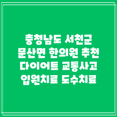 충청남도 서천군 문산면 한의원 추천 다이어트 교통사고 입원치료 도수치료