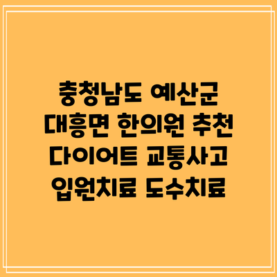 충청남도 예산군 대흥면 한의원 추천 다이어트 교통사고 입원치료 도수치료