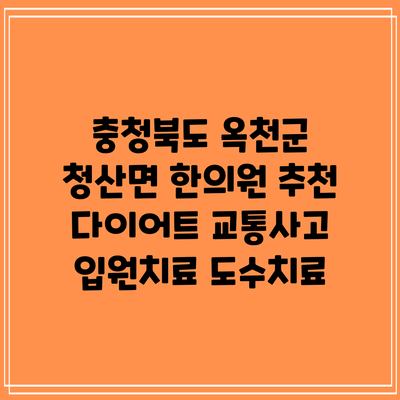 충청북도 옥천군 청산면 한의원 추천 다이어트 교통사고 입원치료 도수치료
